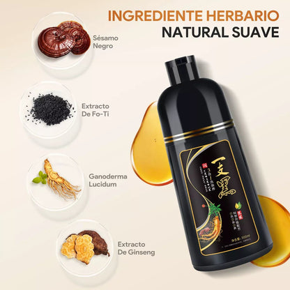 ✨ Rejuvenece tu look en 10 minutos — Shampoo 3 en 1 que tiñe sin maltratar y deja tu cabello suave y brillante